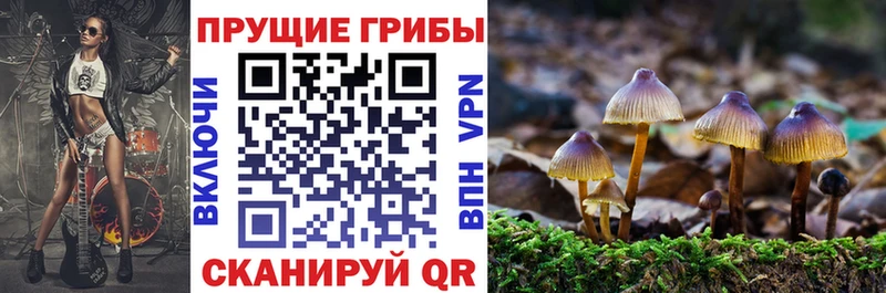 Галлюциногенные грибы MAGIC MUSHROOMS  Купить закладки  Липецк 